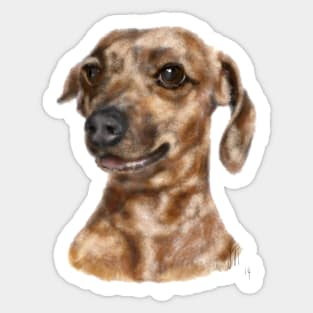 Happy Smiling Dachshund Puppy Dog Sticker